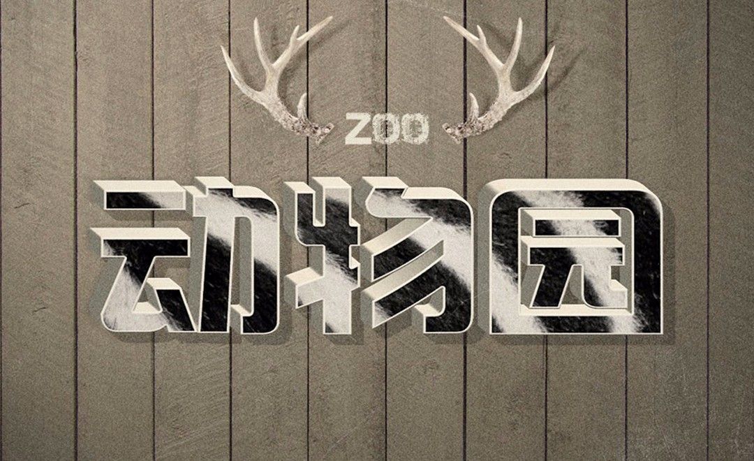 动物园字体设计中文图片