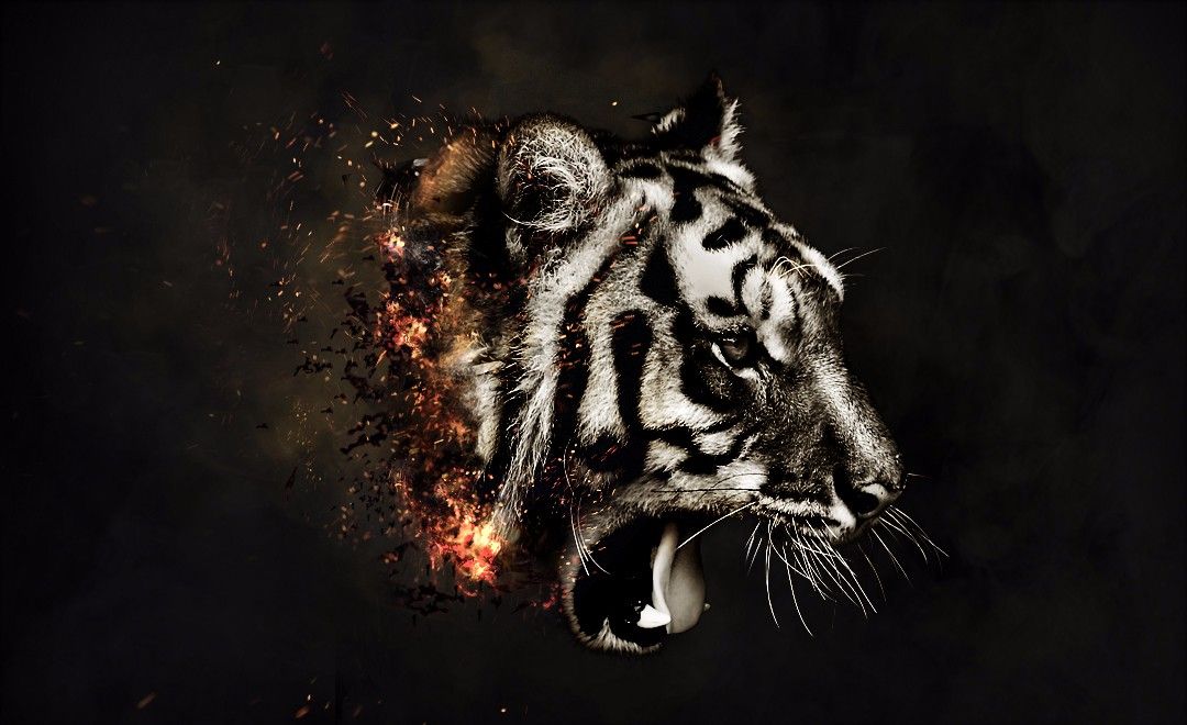 ps-公益创意合成燃烧的老虎