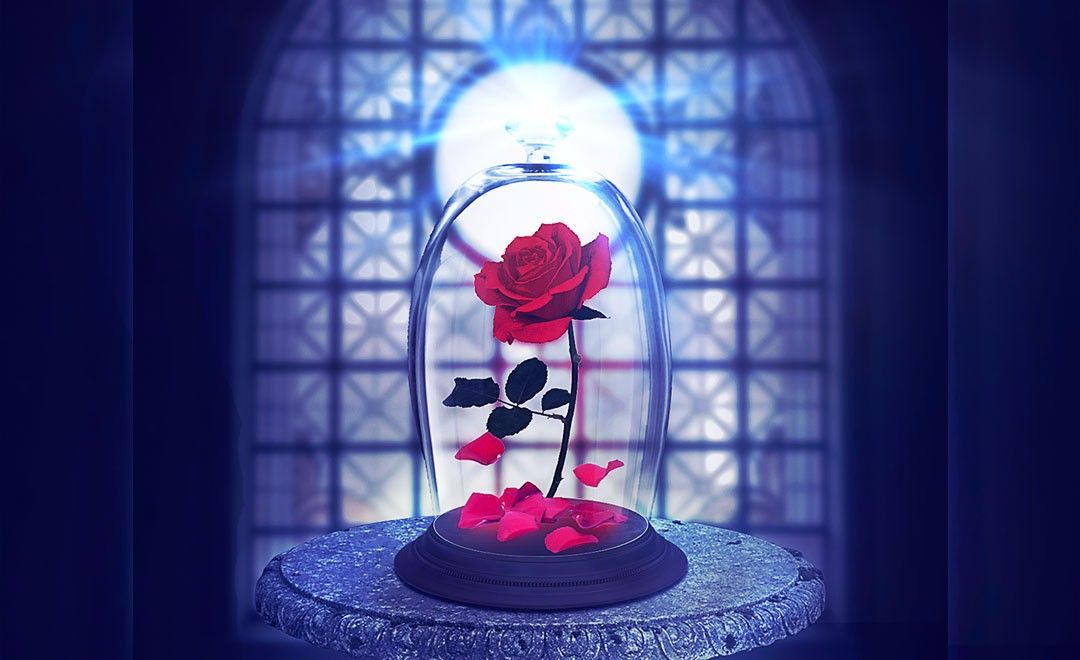 PS-童话道具玻璃罩子里的玫瑰