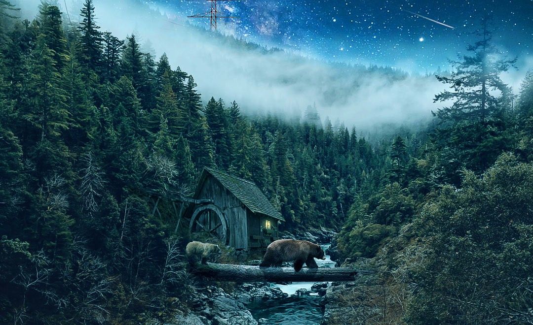 PS-森林场景-溪流小熊
