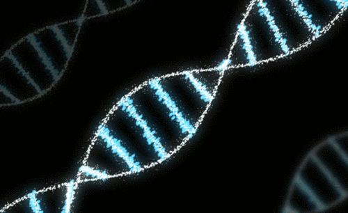 AE-DNA旋转动效
