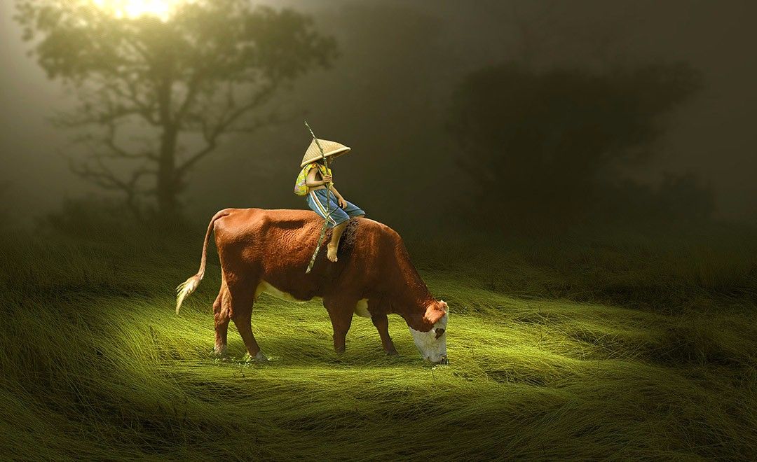 ps-绿野相伴的牧童与牛