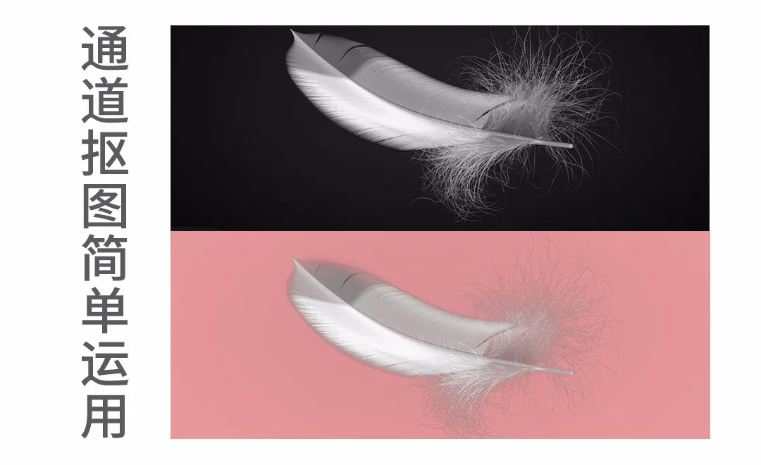 PS-通道快速抠出羽毛图