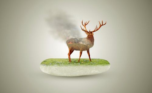 ps环保合成教程_ps环保合成视频教程全集 - 虎课网