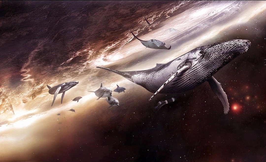 PS-鲸群太空迁徙-超现实场景