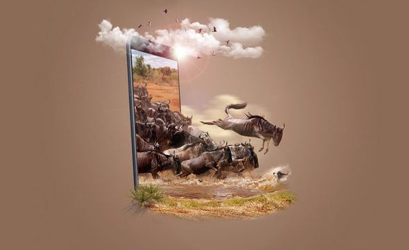 PS-角牛的迁徙-创意手机广告
