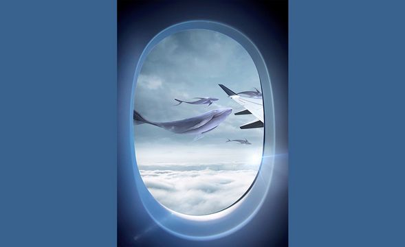 PS-机翼飞鱼-创意合成