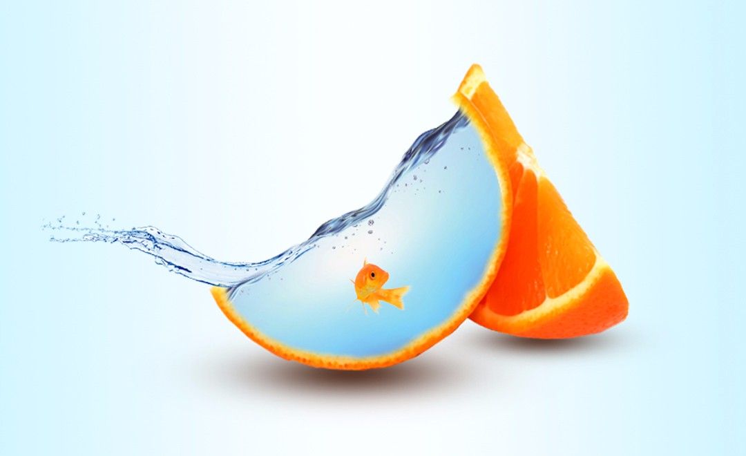 PS-合成橙子和鱼