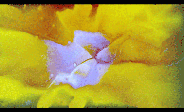 ae-iphonex动态屏保流体效果