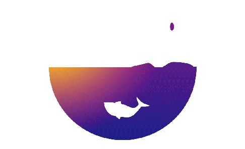 海豚ai课，海豚ai课程
