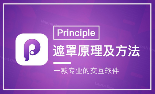  Principle-遮罩原理及方法