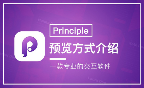 Principle-预览方式介绍