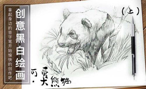 针管笔手绘插画-可爱.大熊猫