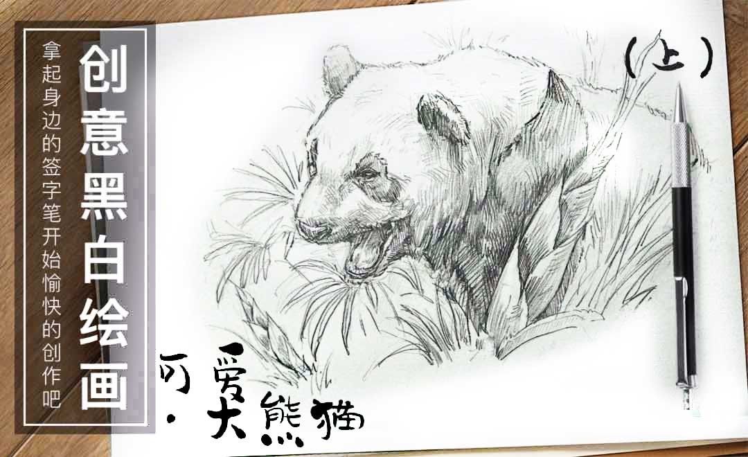 针管笔手绘插画-可爱.大熊猫（上）