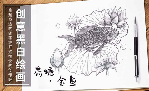 针管笔手绘插画--荷塘.金鱼