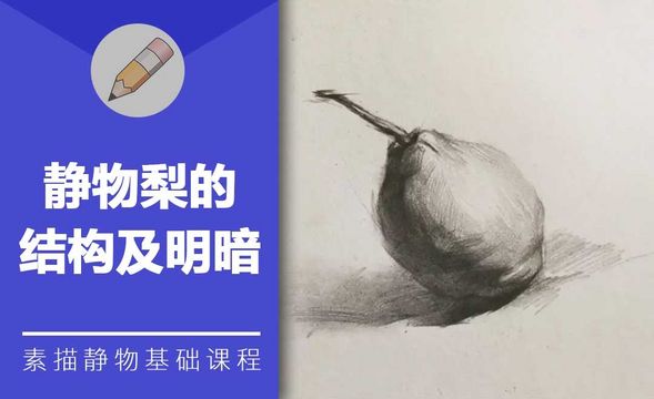 铅笔素描-静物梨的结构及明暗