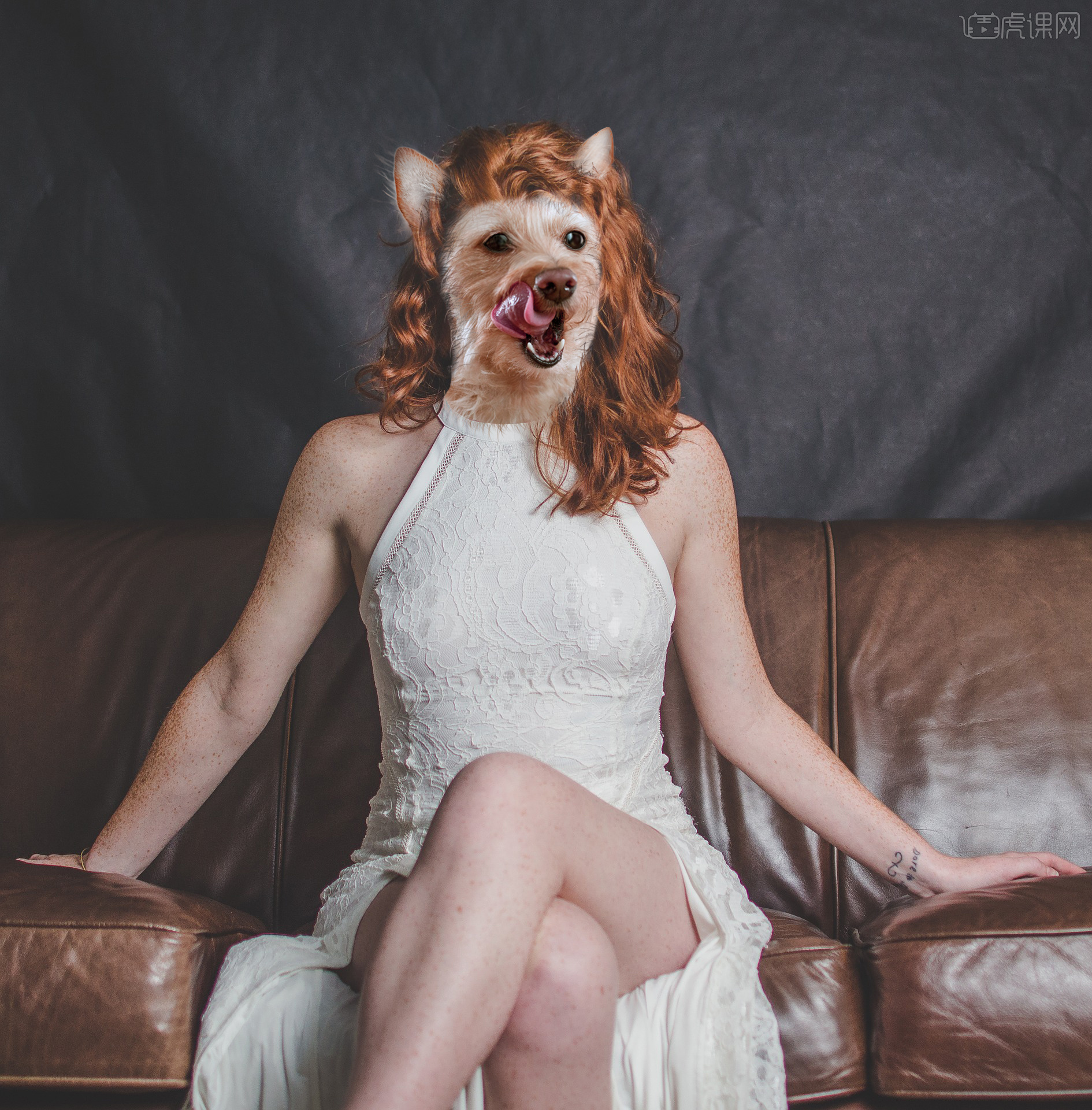 动物人像合成老师讲的很好