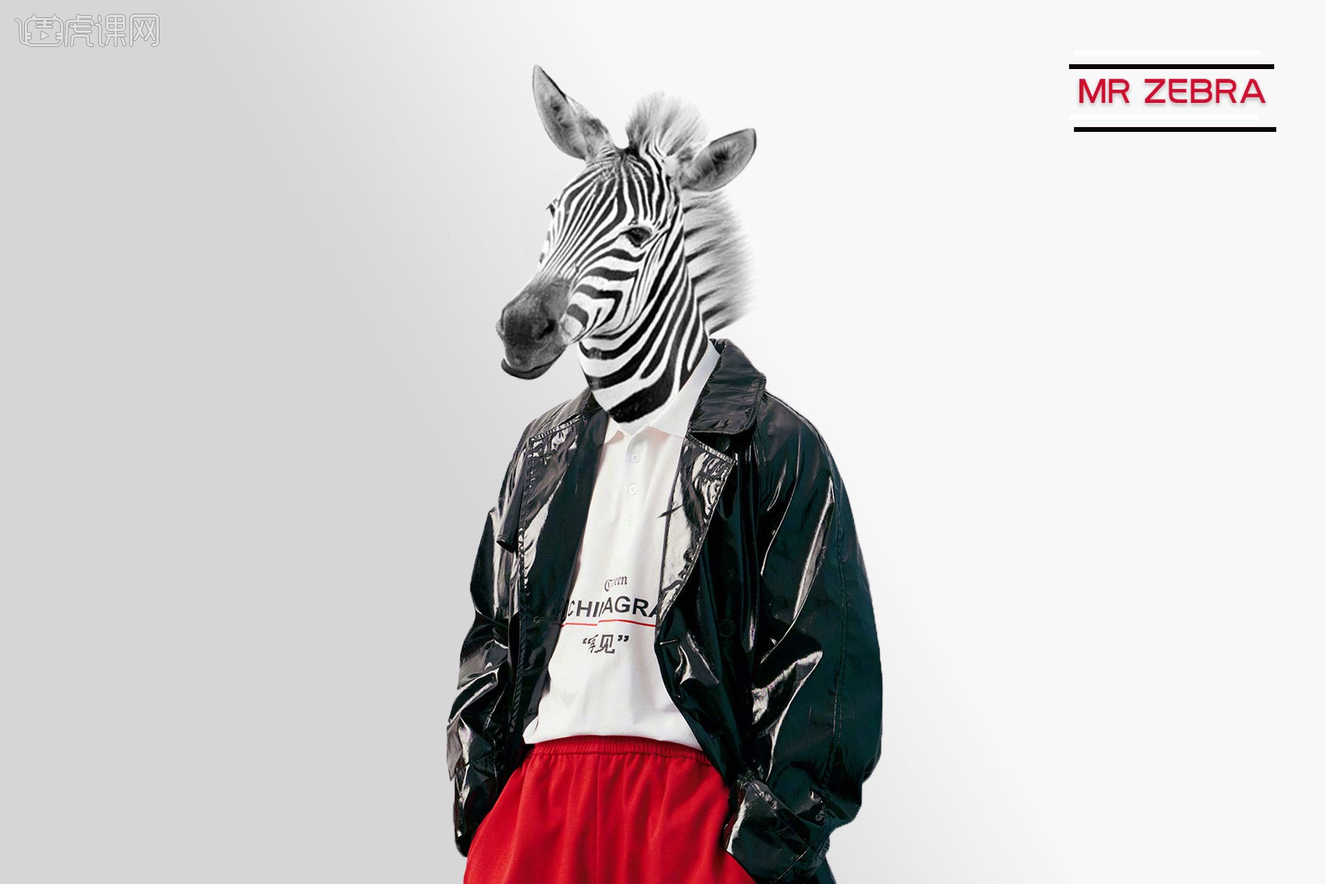 斑马先生 - 虎课网