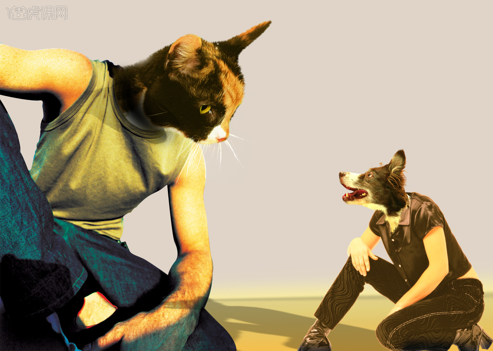 猫狗大战