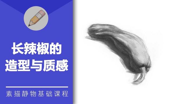 铅笔素描-长辣椒的造型与质感