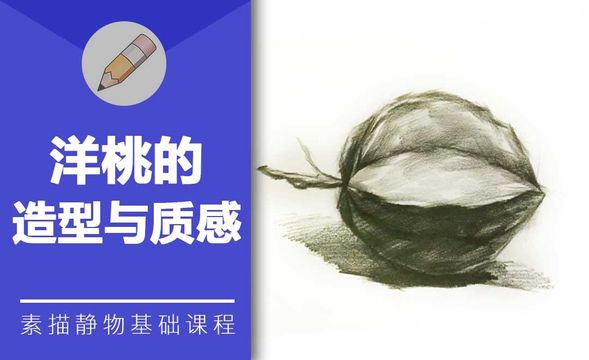 铅笔素描-洋桃的造型与质感