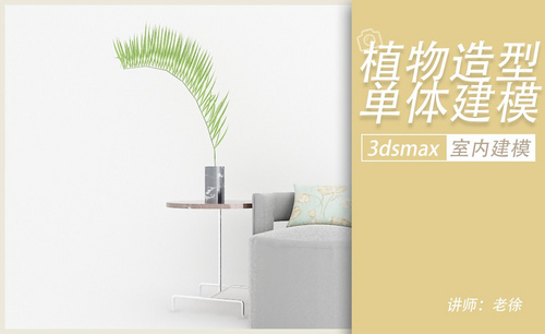 3Dsmax-室内植物造型建模