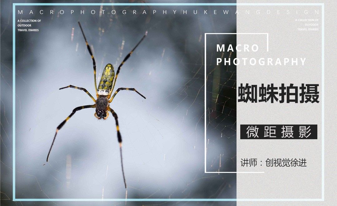微距摄影之蜘蛛拍摄