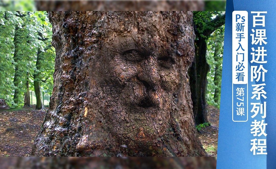 百课进阶75人脸树木合成