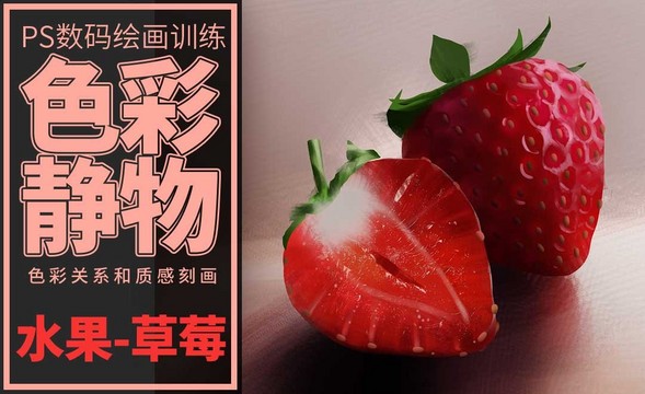 PS-板绘-色彩静物-草莓