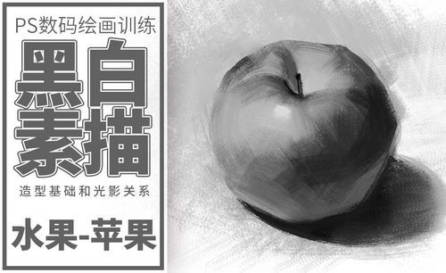 ps-板绘-素描静物-苹果