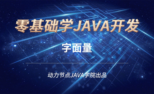 Java-字面量