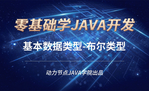 Java-基本数据类型-布尔类型