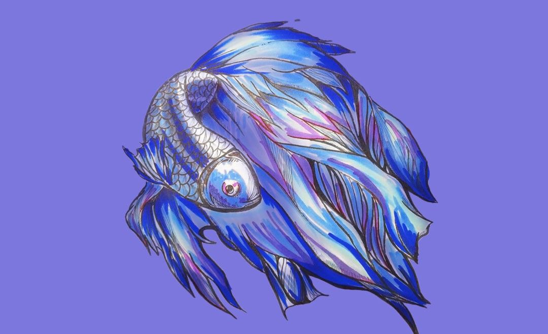 马克笔 针管笔-蓝色金鱼