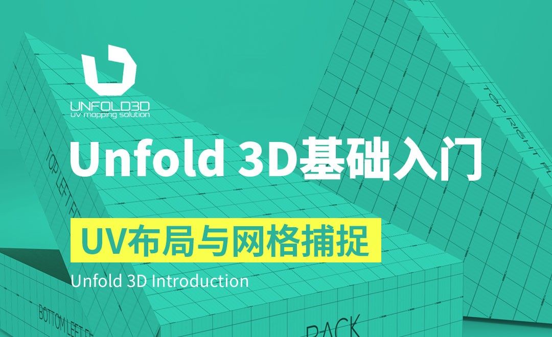 Unfold 3D-UV布局与网格捕捉