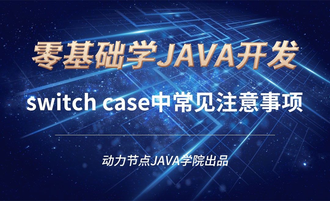 Java-switch case中常见注意事项