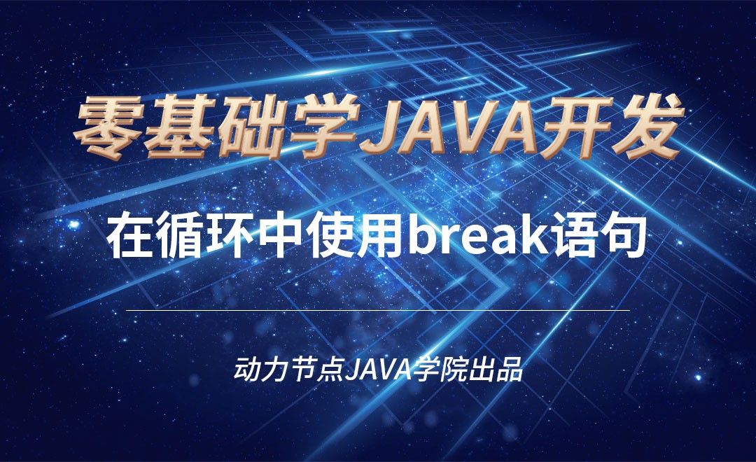 Java-在循环中使用break语句