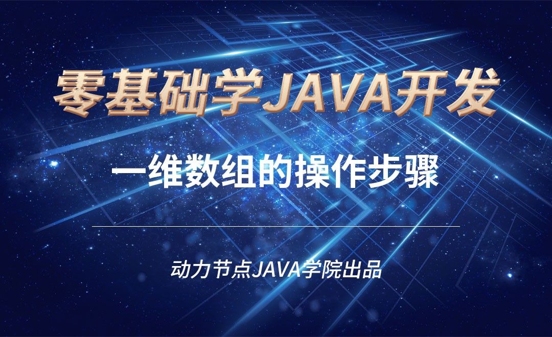 Java-一维数组的操作步骤