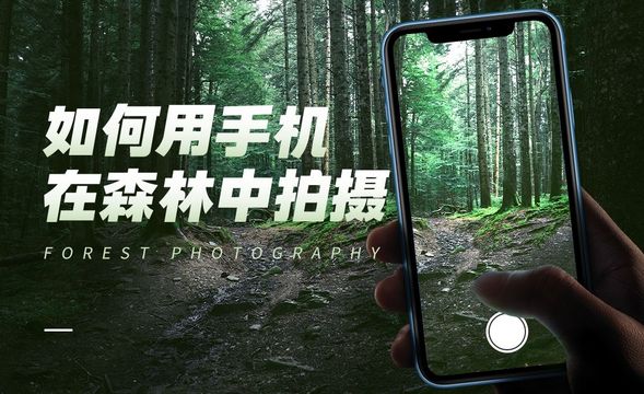 摄影技巧-如何用手机拍摄森林风景