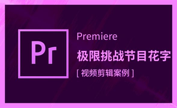 Premiere-极限挑战节目花字