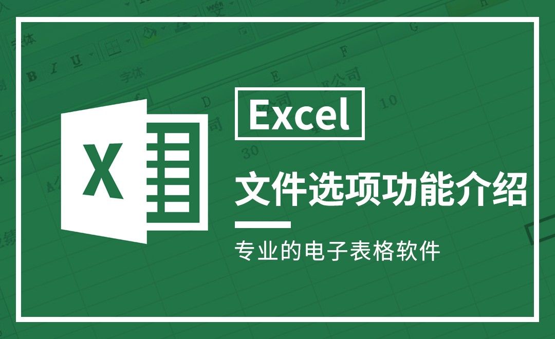 Excel-文件选项功能介绍