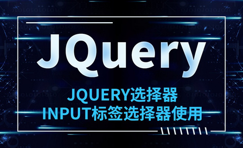 JQuery-JQuery选择器-INPUT标签选择器使用