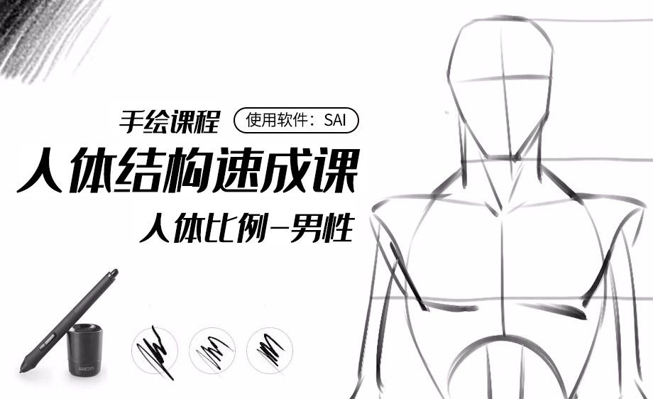 SAI-男性人体比例-解构人体画法