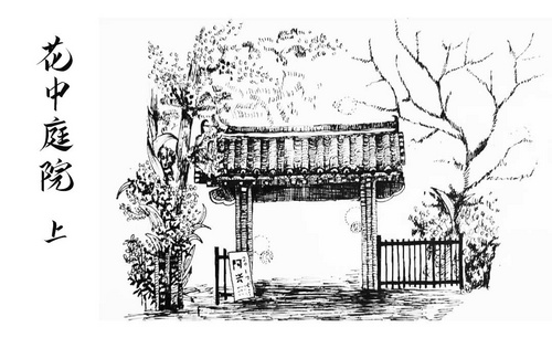  针管笔绘画-花中庭院-黑白风景创意插画