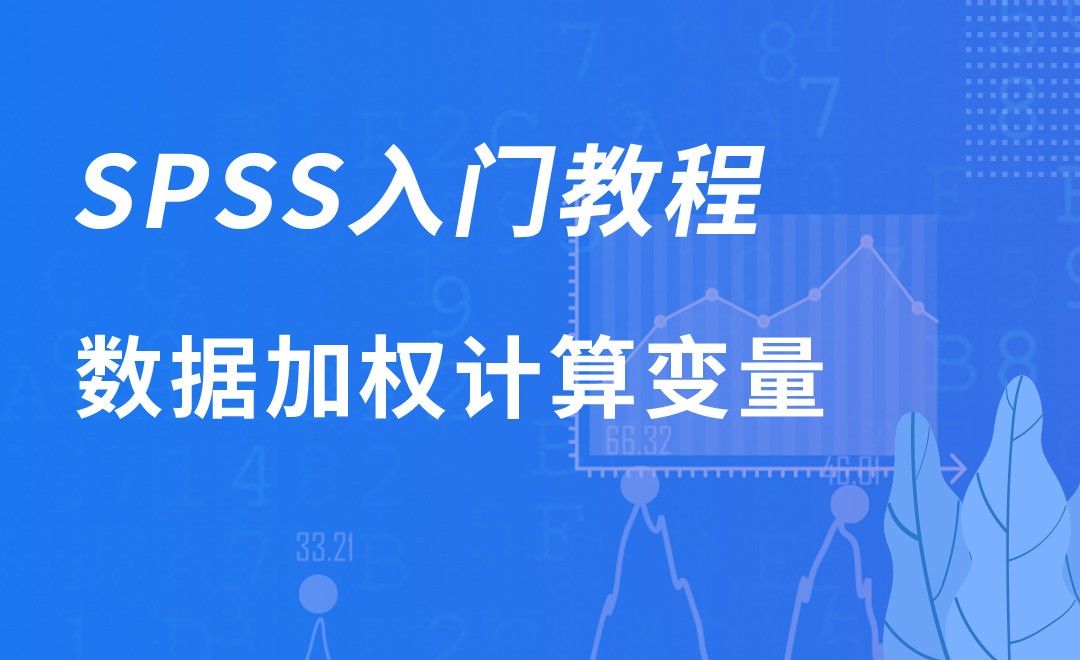 SPSS-数据加权计算变量
