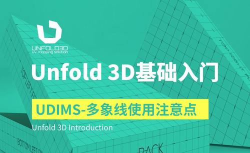Unfold 3D-UDIMS-多象线使用注意点