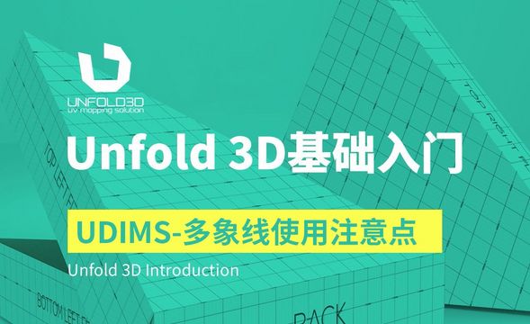 Unfold 3D-UDIMS-多象线使用注意点