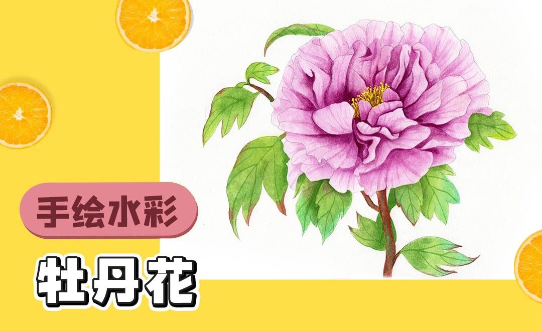 水彩入门 花卉上色 牡丹花 绘画插画教程 水彩 虎课网