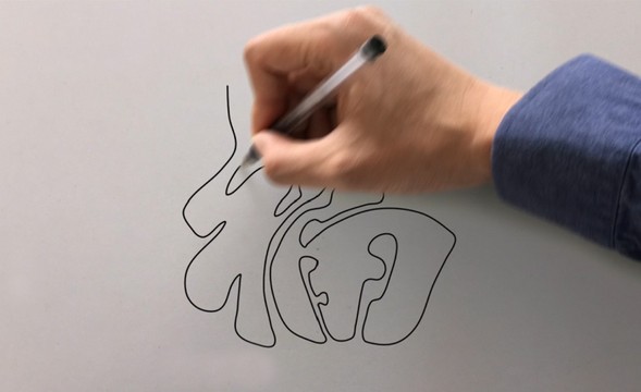 AE+PS-手写字动画-手素材制作