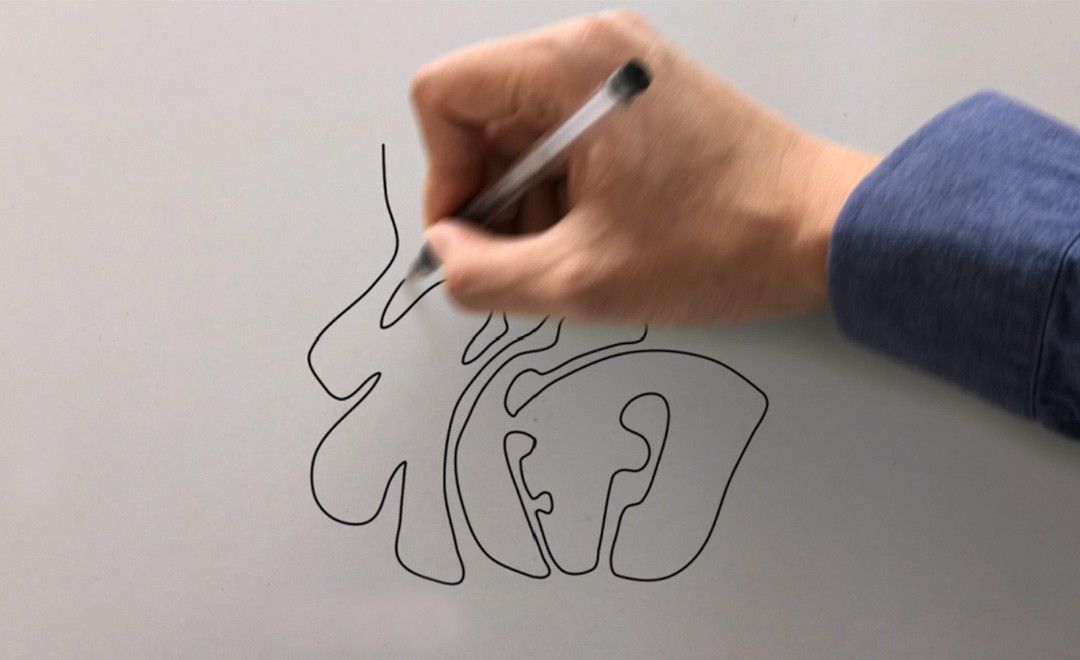 AE-手写动作的实现-手写字动画