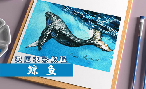 水彩-海洋动物-鲸鱼